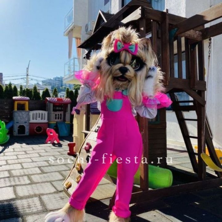 Аниматор Гламурная Собака в Мурманске