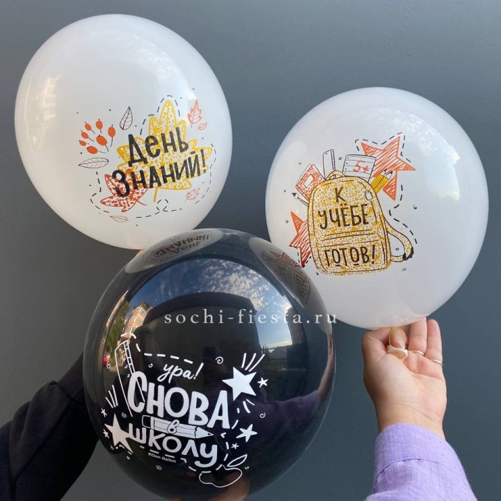 Воздушный шар к 1 сентября в Мурманске
