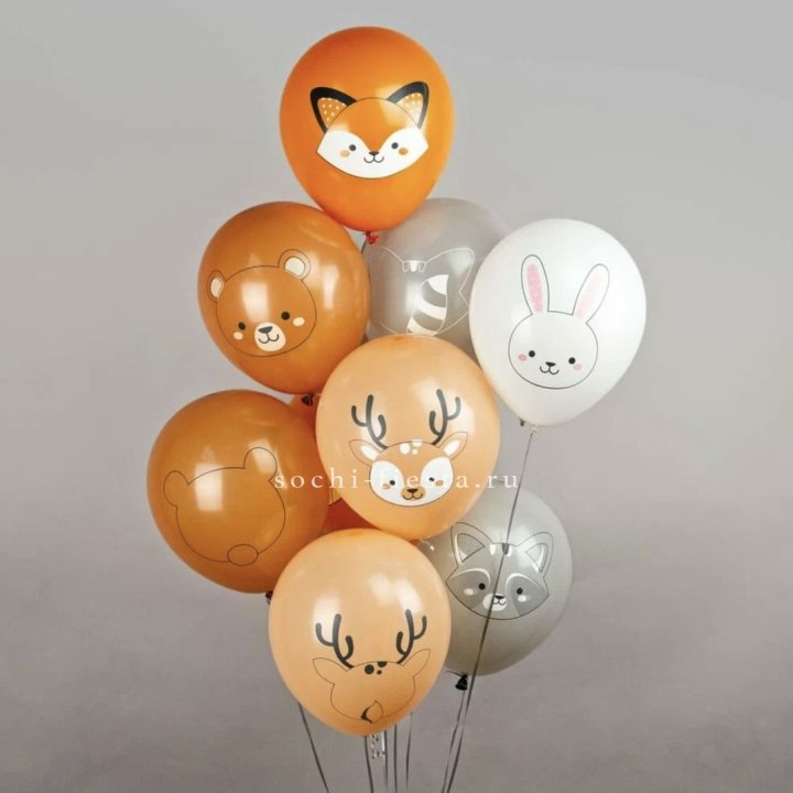 Воздушный шар "Животные" в Мурманске