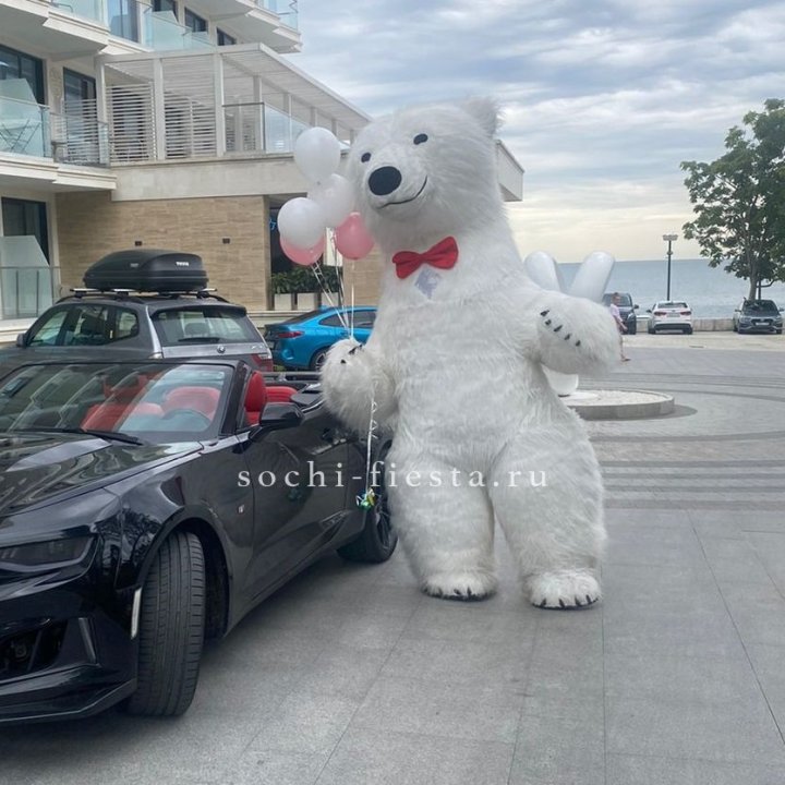 Аниматор Белый Медведь в Мурманске