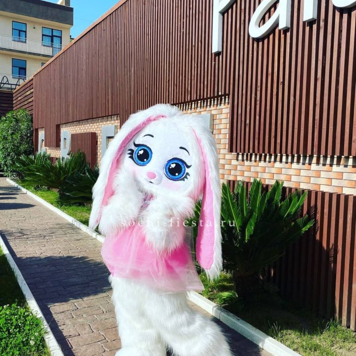 Аниматор Зайка в Мурманске