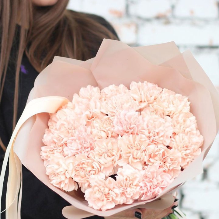 Диантусы №2 в Мурманске