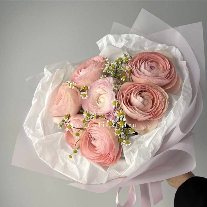 Ранункулюсы с ромашками в Мурманске