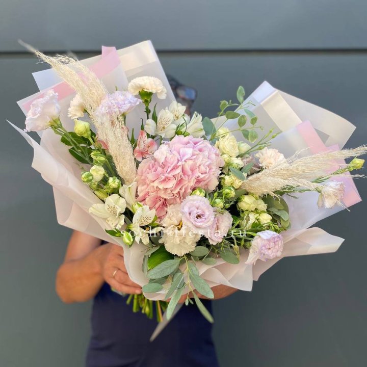 Гортензия "Пинк флоид" в Мурманске