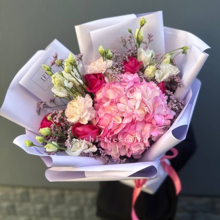 Гортензия "Перпил" в Мурманске