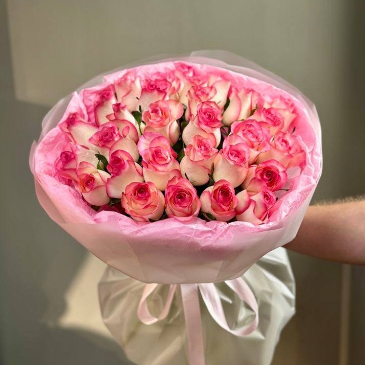 29 джумилий в Мурманске