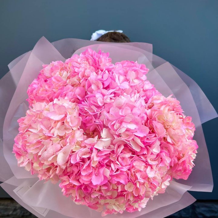 9 ярко розовых гортензий в Мурманске