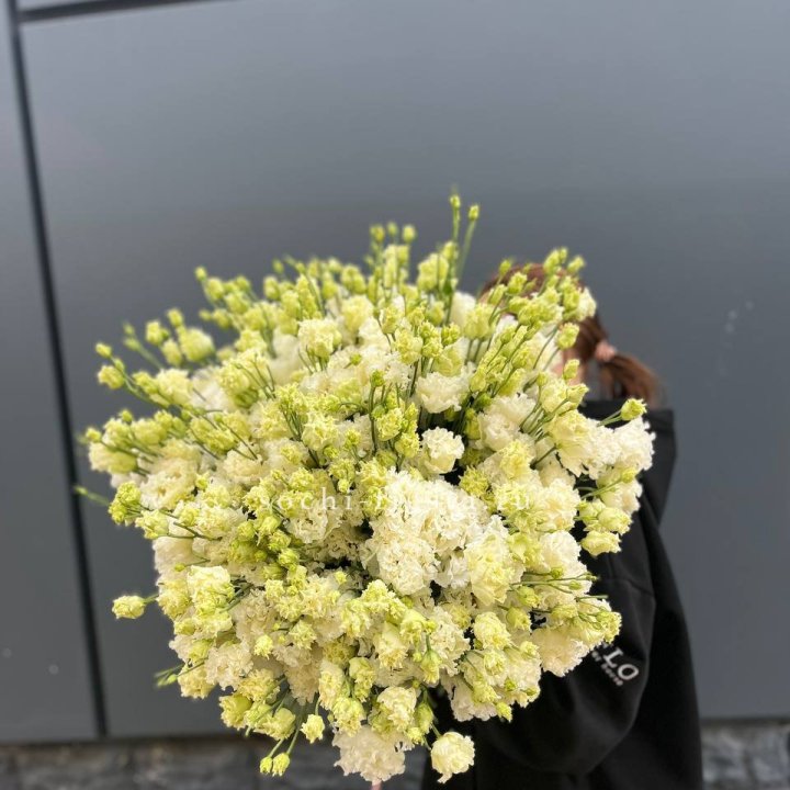 51 белая эустома в Мурманске