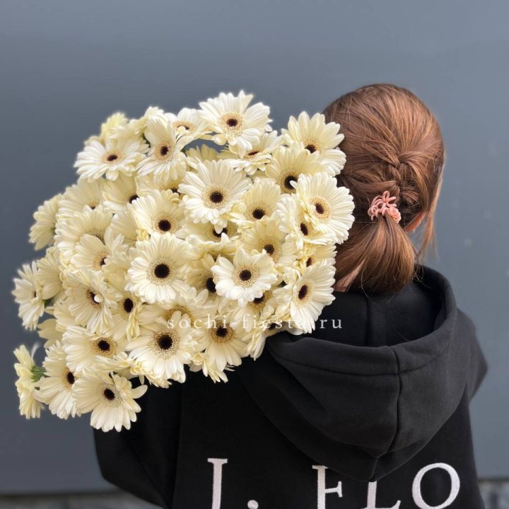 51 гербера в Мурманске