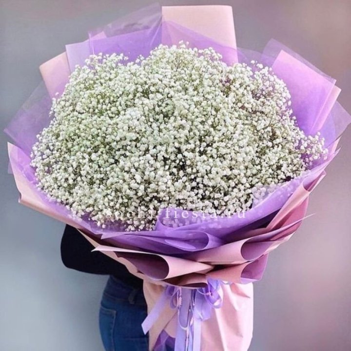 Облако белых гипсофил в Мурманске