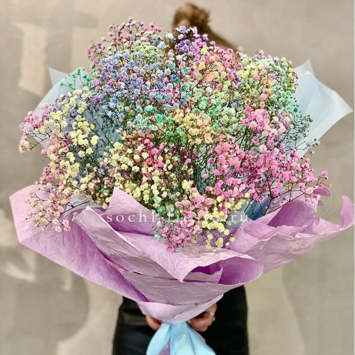 Радужные гипсофилы №2 в Мурманске