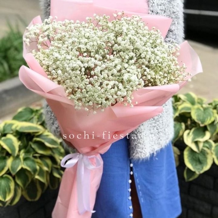 Белоснежные гипсофилы в Мурманске