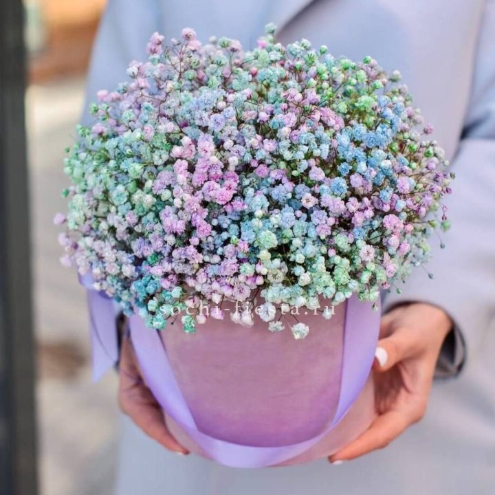 Гипсофилы в шляпной коробке "Кандилайт" в Мурманске