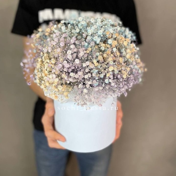 9 Радужных гипсофил в шляпной коробке в Мурманске