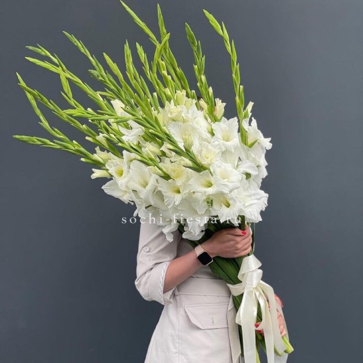 19 белых гладиолусов под ленту в Мурманске