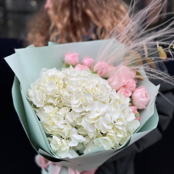 Гортензия "Жасмин" в Мурманске