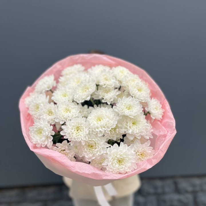  5 хризантем  в Мурманске