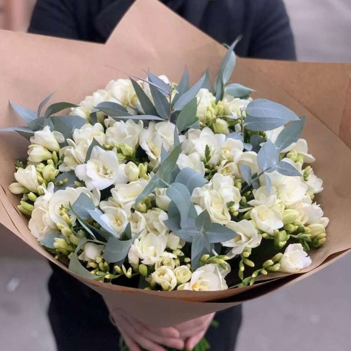 51 фрезия с эвкалиптом в Мурманске