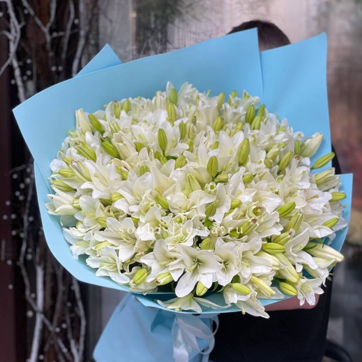 51 лилия в оформлении в Мурманске