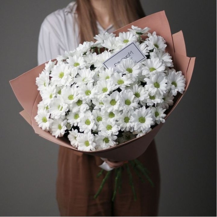 Хризантемы в крафте в Мурманске