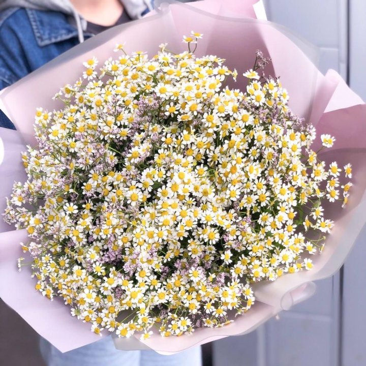Букет ромашек №1 в Мурманске