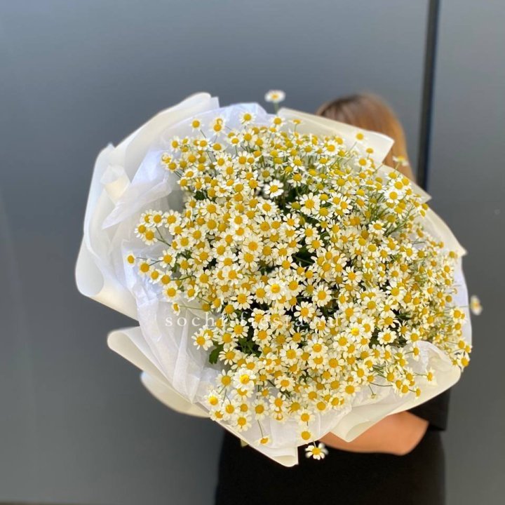 Букет ромашек "Фемели" в Мурманске