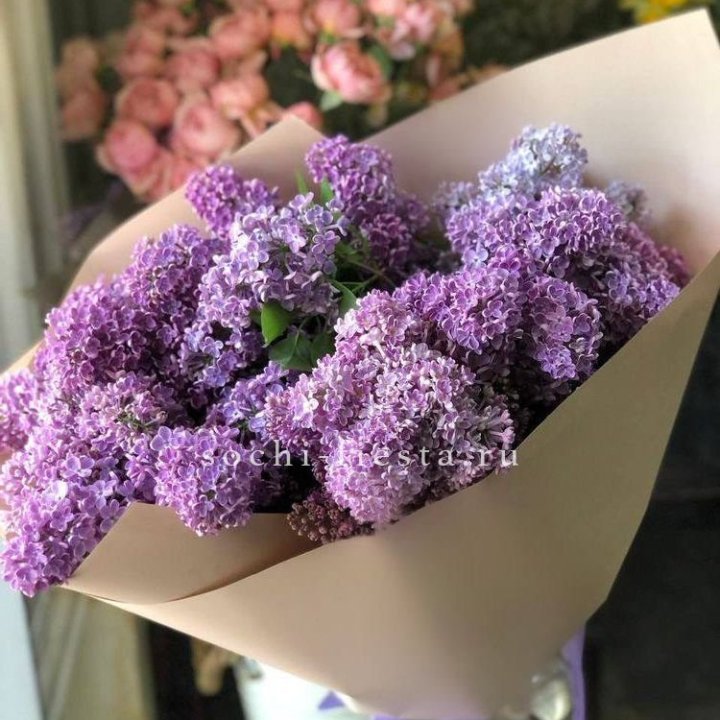 Букет сирени №2 в Мурманске
