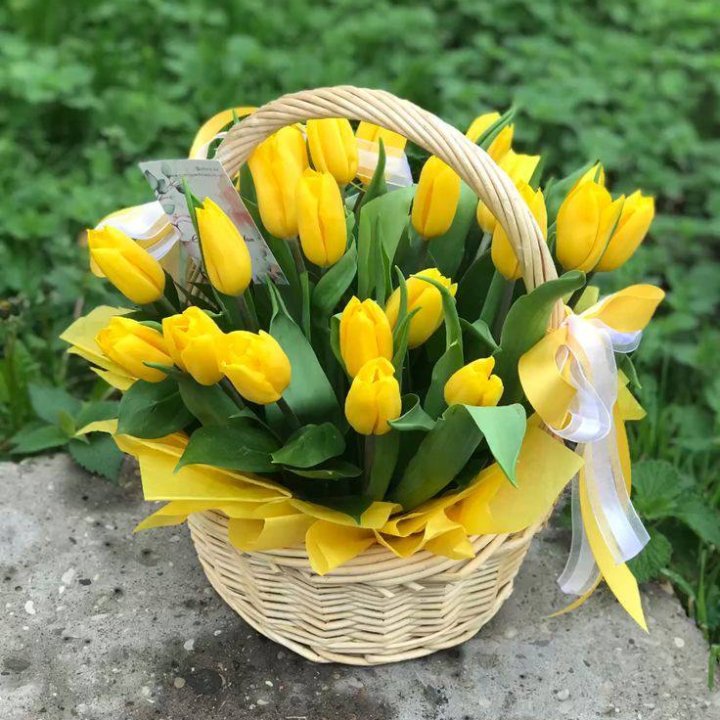 25 желтых тюльпанов в корзине в Мурманске