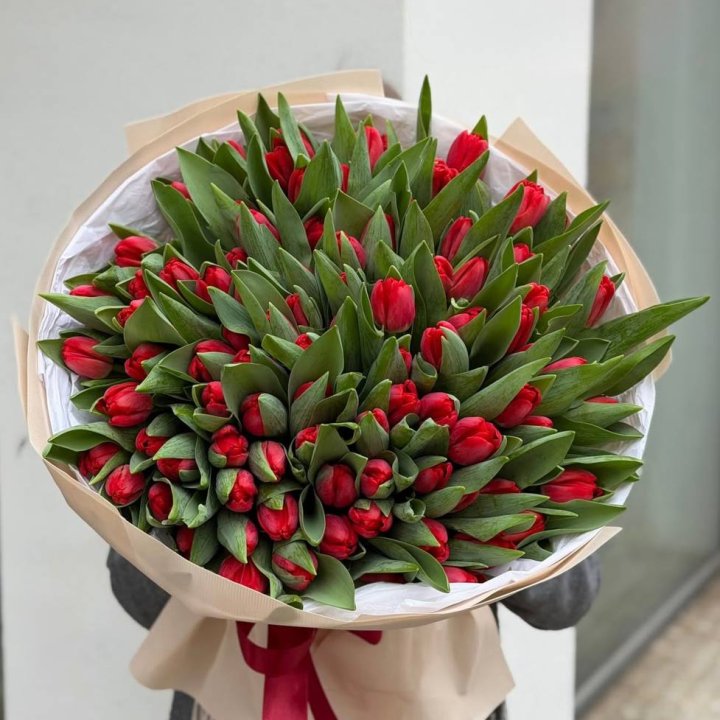 101 красный тюльпан в Мурманске