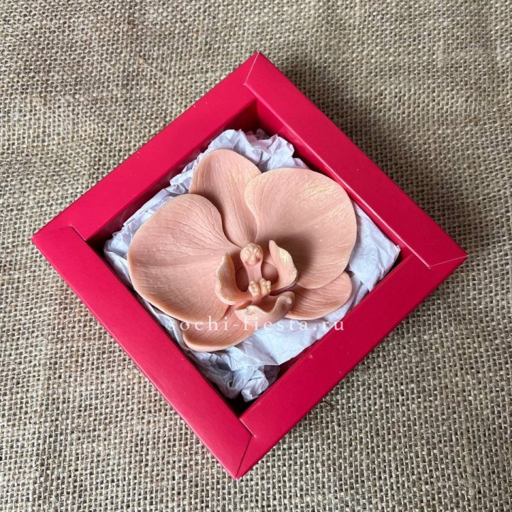 Бельгийский шоколад Орхидея в Мурманске