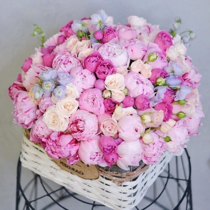 Композиция "Черри" в Мурманске