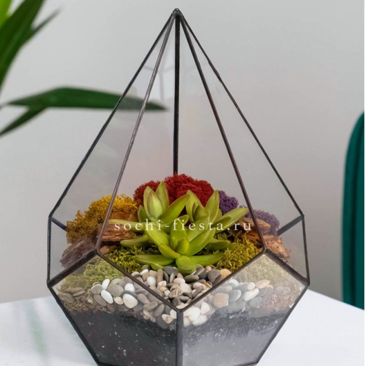 Флорариум Капля с суккулентом в Мурманске
