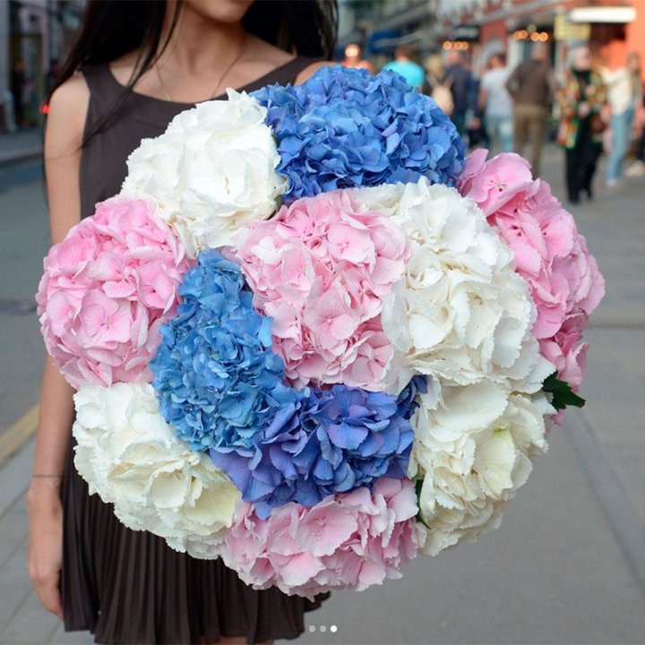 Букет гортензий "Инь-Янь" в Мурманске