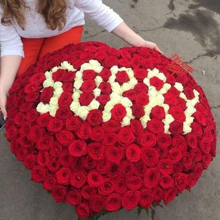 351 роза "Прости меня" в Мурманске