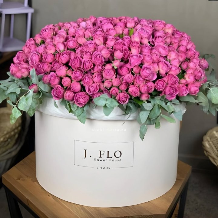 Цилиндр с Мисти Бабблс  в Мурманске