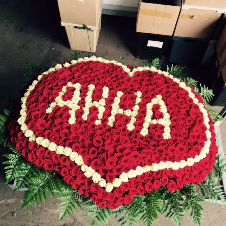 555 роз с именем в Мурманске