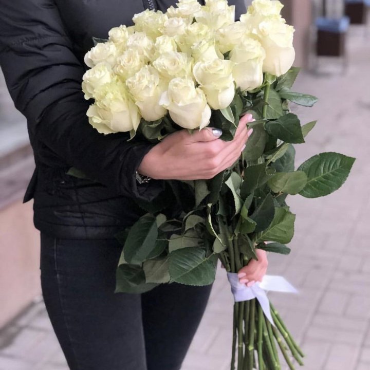 Голландские розы белые в Мурманске