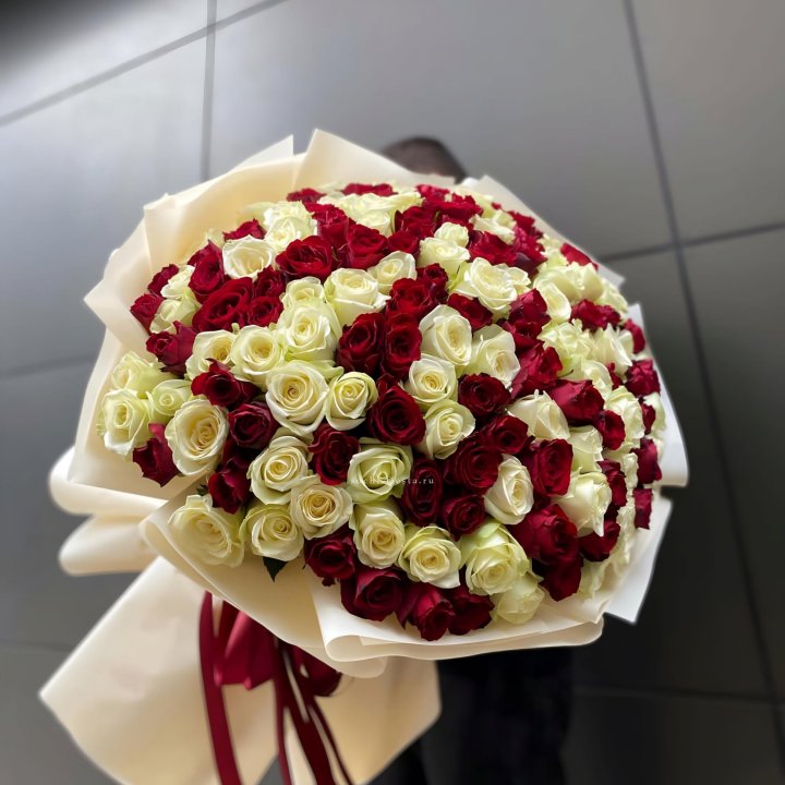 101 высокая импортная роза  в Мурманске