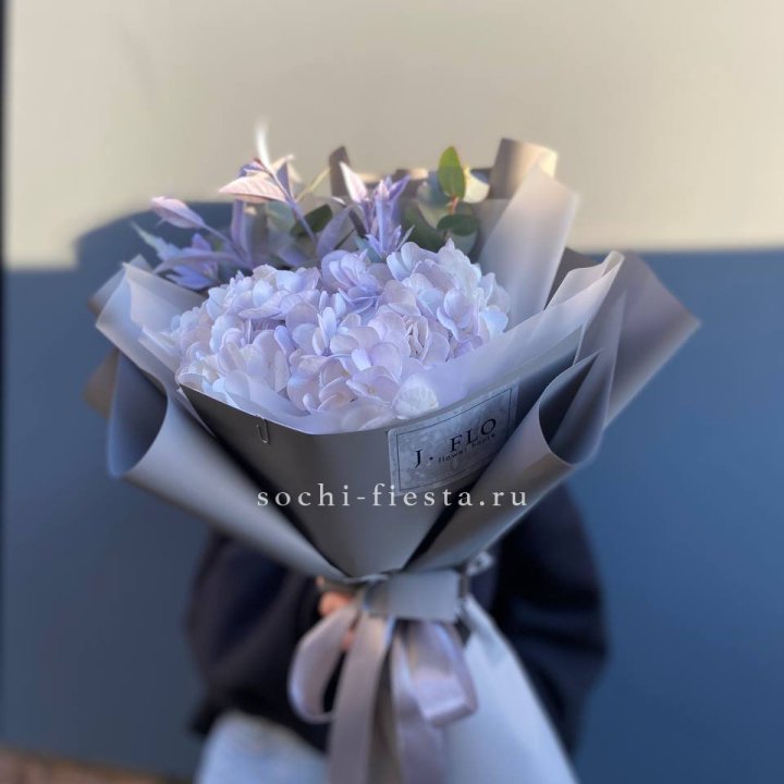 Гортензия "Виолета" в Мурманске