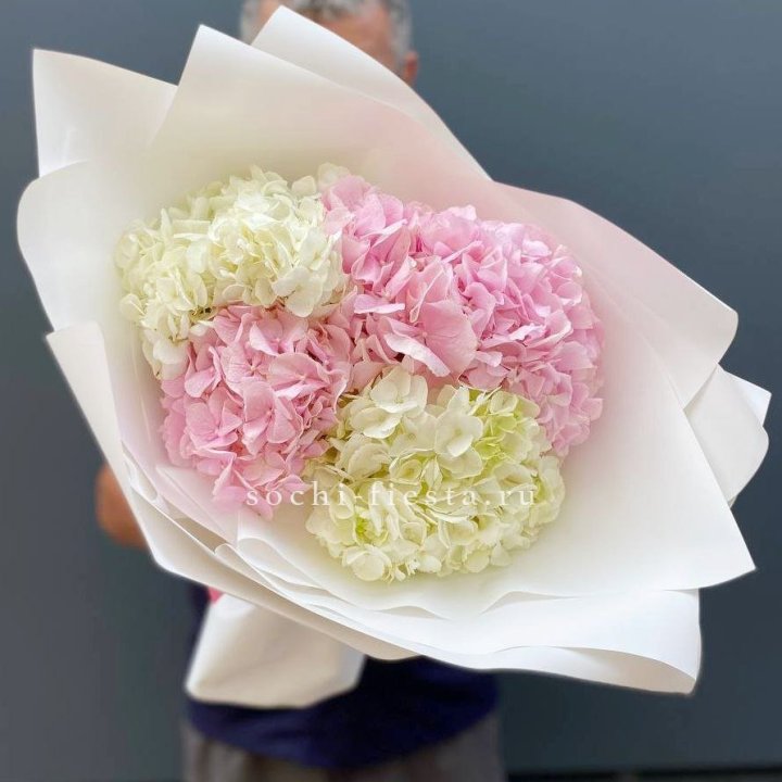 Букет гортензий №5 в Мурманске