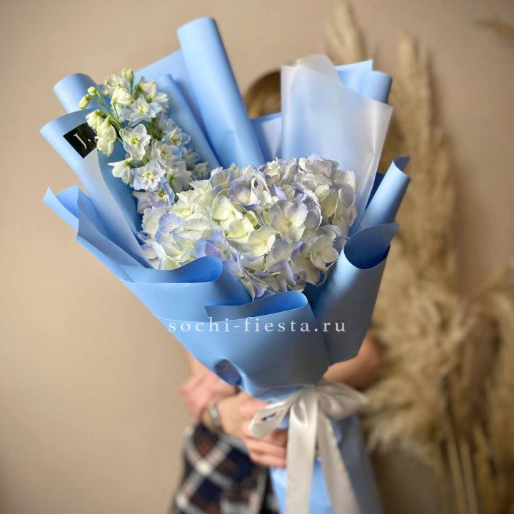 Гортензия "Блю скай" в Мурманске