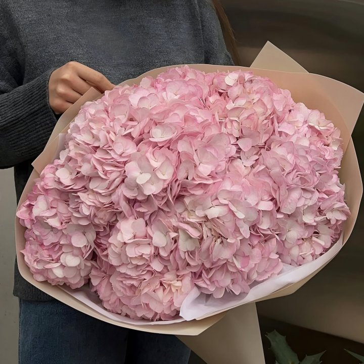 Гортензия  "РОЗЕ" в Мурманске