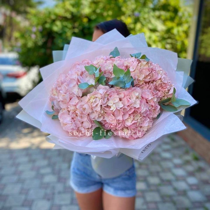5 розовых гортензий  в Мурманске