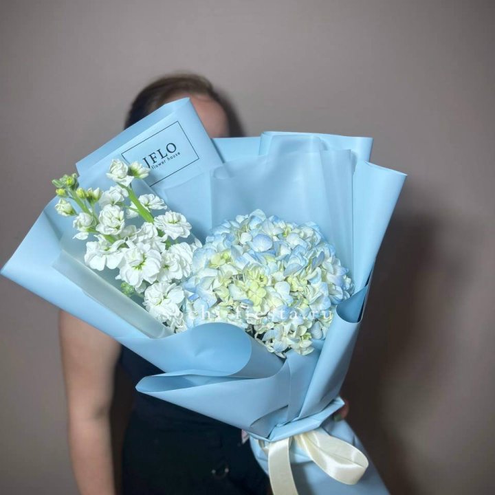 Гортензия голубая с маттиолой в Мурманске