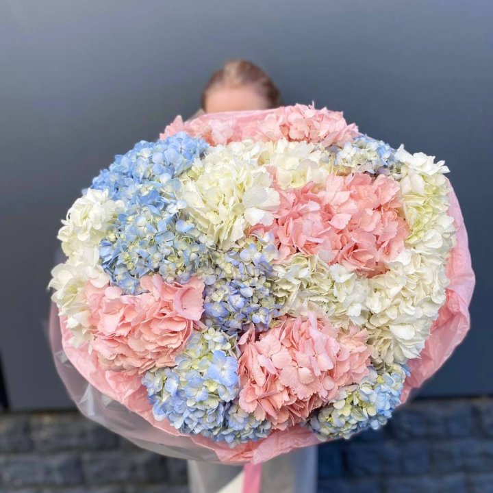 19 гортензий микс в Мурманске