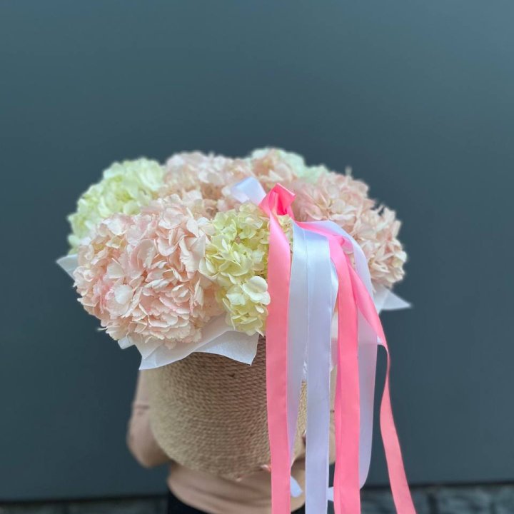 7 гортензий в кашпо в Мурманске