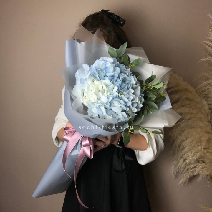 Гортензия Уно в Мурманске