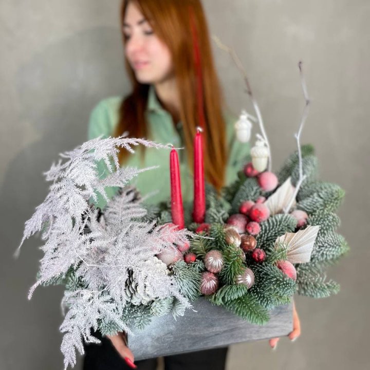 Бокс красный с нобилисом в Мурманске