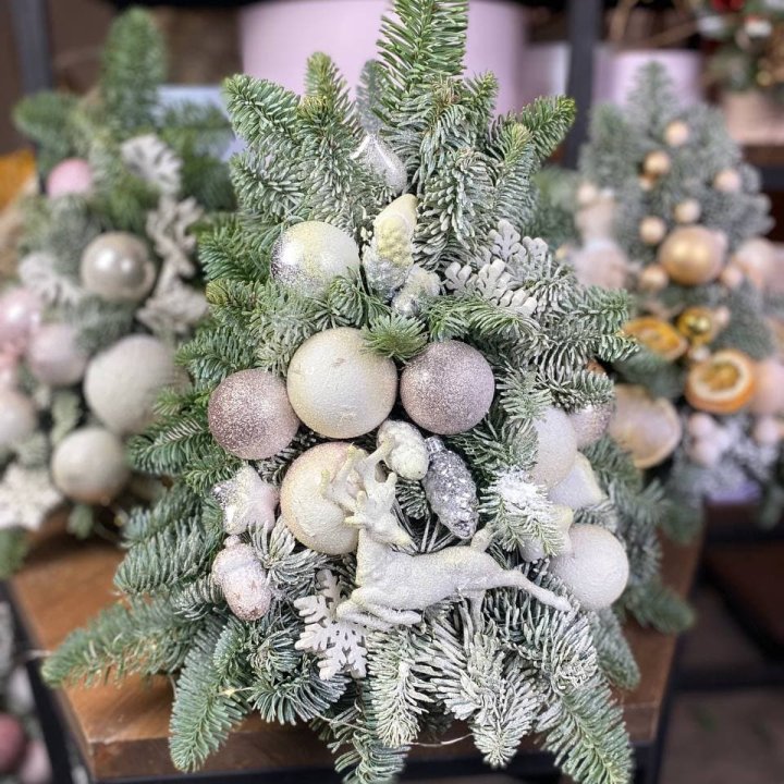 Ёлочка "Хепи крисмас" в Мурманске