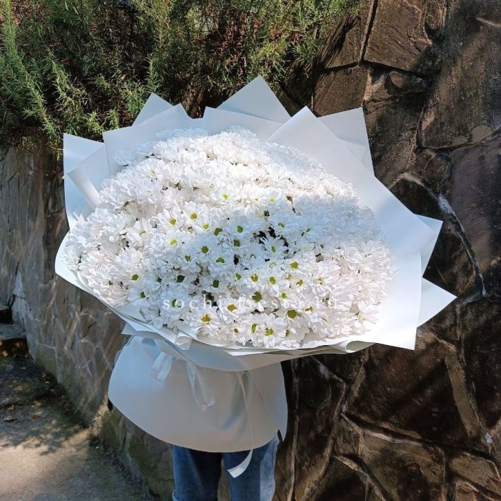 Облако хризантем №2 в Мурманске